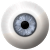 eyeball